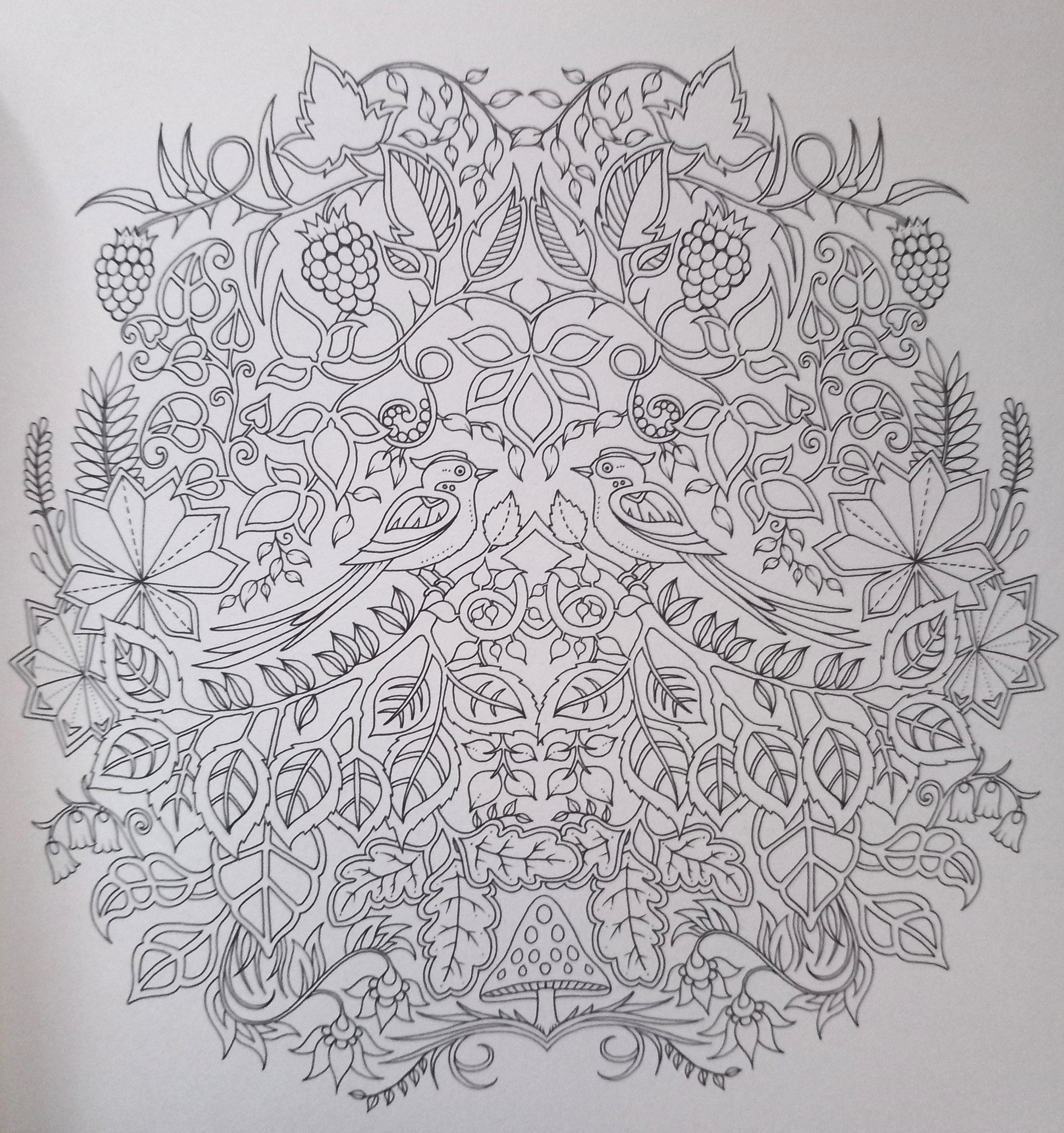 Miniature Enchanted Forest - omalovánky od Johanny Basford